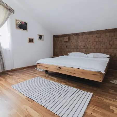 Guest house Cocosul De Munte *
