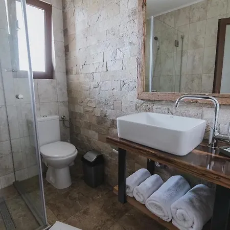 Guest house Cocosul De Munte *