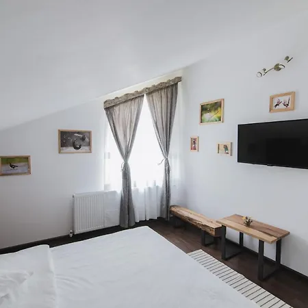 Guest house Cocosul De Munte Baia de Fier